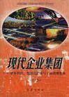 現(xiàn)代企業(yè)集團(tuán)資本經(jīng)營、集團(tuán)化擴(kuò)張與工商管理實(shí)務(wù)